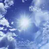 Vladimir Travinski - Sunny Day